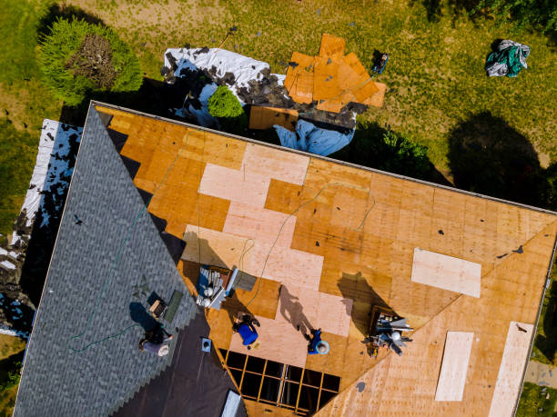 Roof Gutter Cleaning in Sky Lake, FL